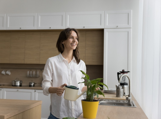 Someone watering a plant in their kitchen