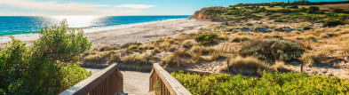 A wooden boardwalk leading to the beach