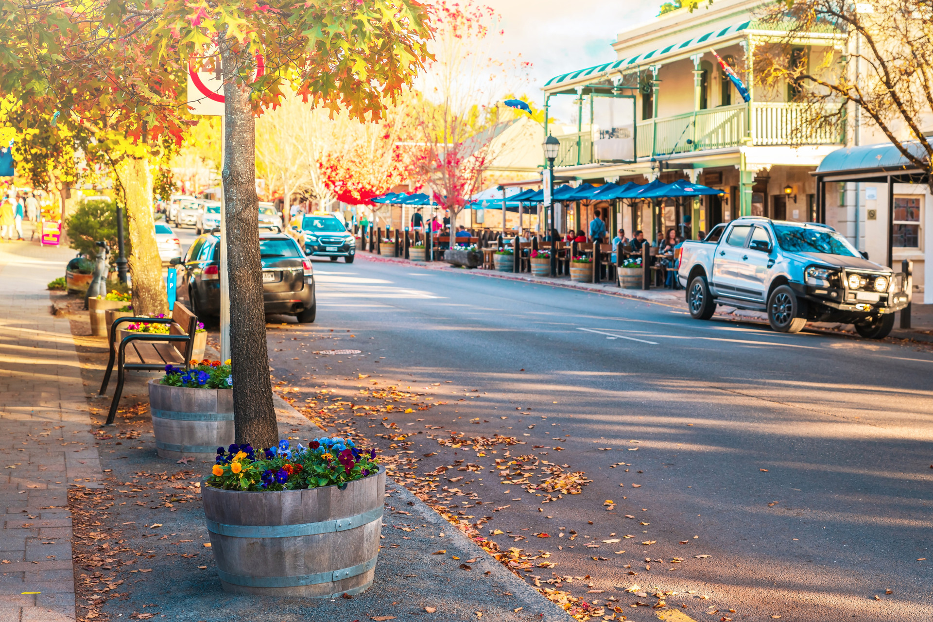 A street in Hahndorf, viewed from the side of the road.